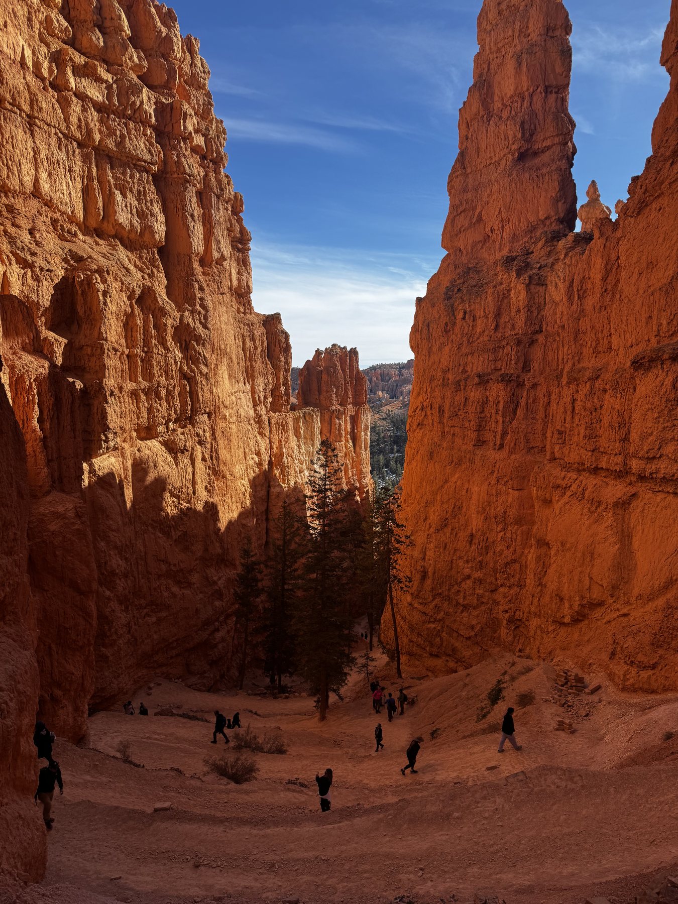 Navajo Loop Trail in Bryce Canyon National Park, Utah, United States
