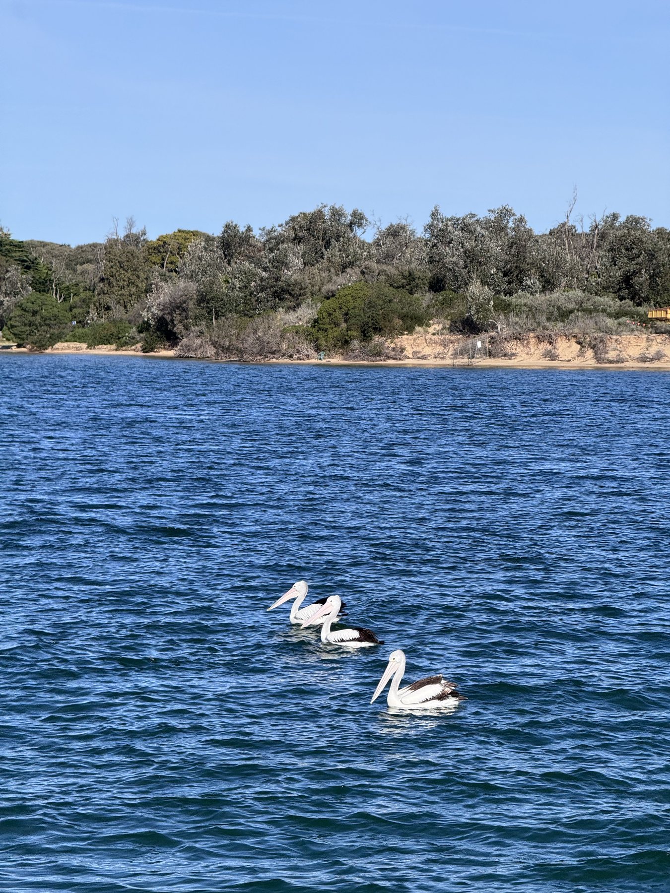 Bullock Island in Victoria, Australia