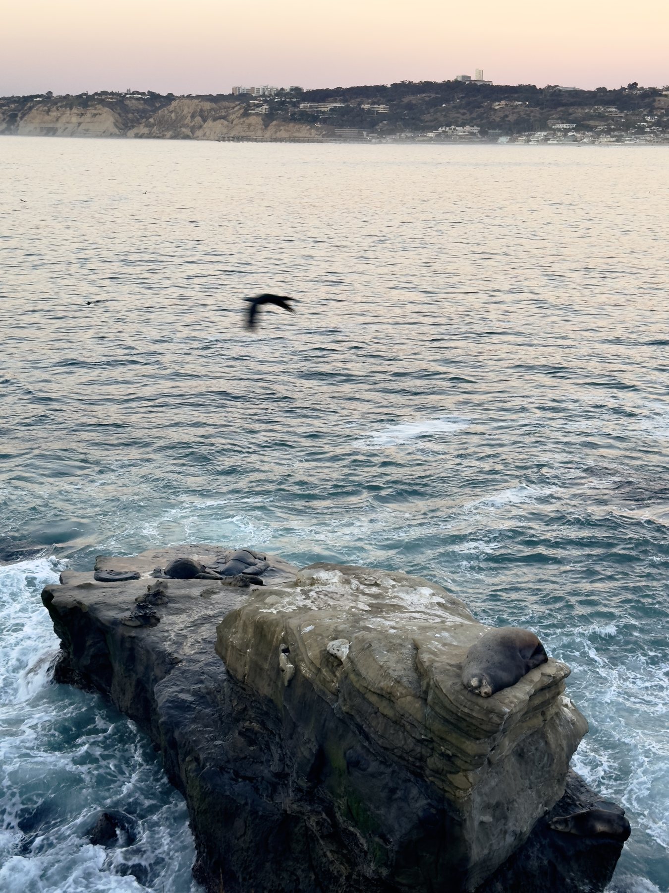 La Jolla Cove in San Diego, California, United States