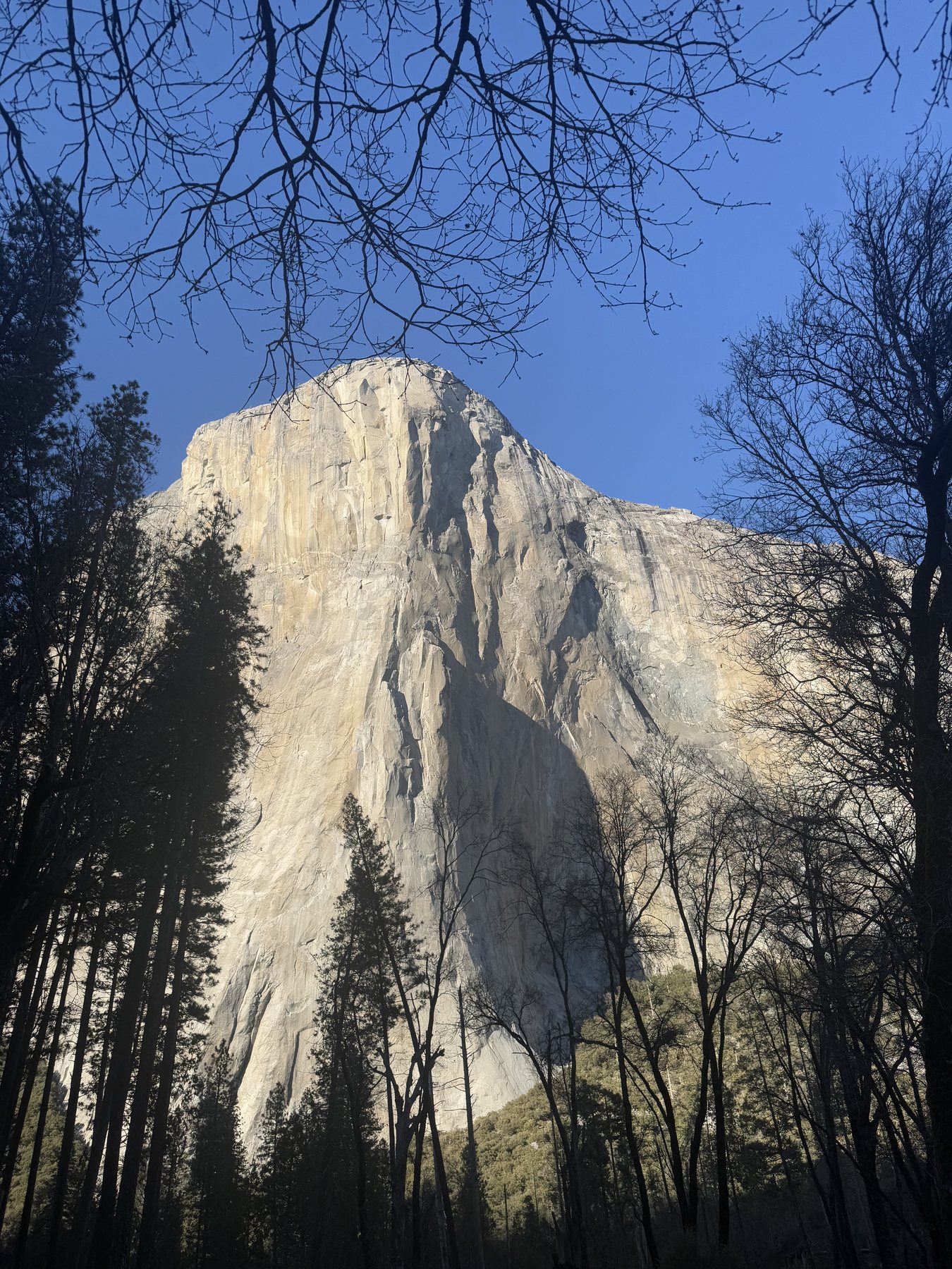 Yosemite Valley in Yosemite National Park, California, United States