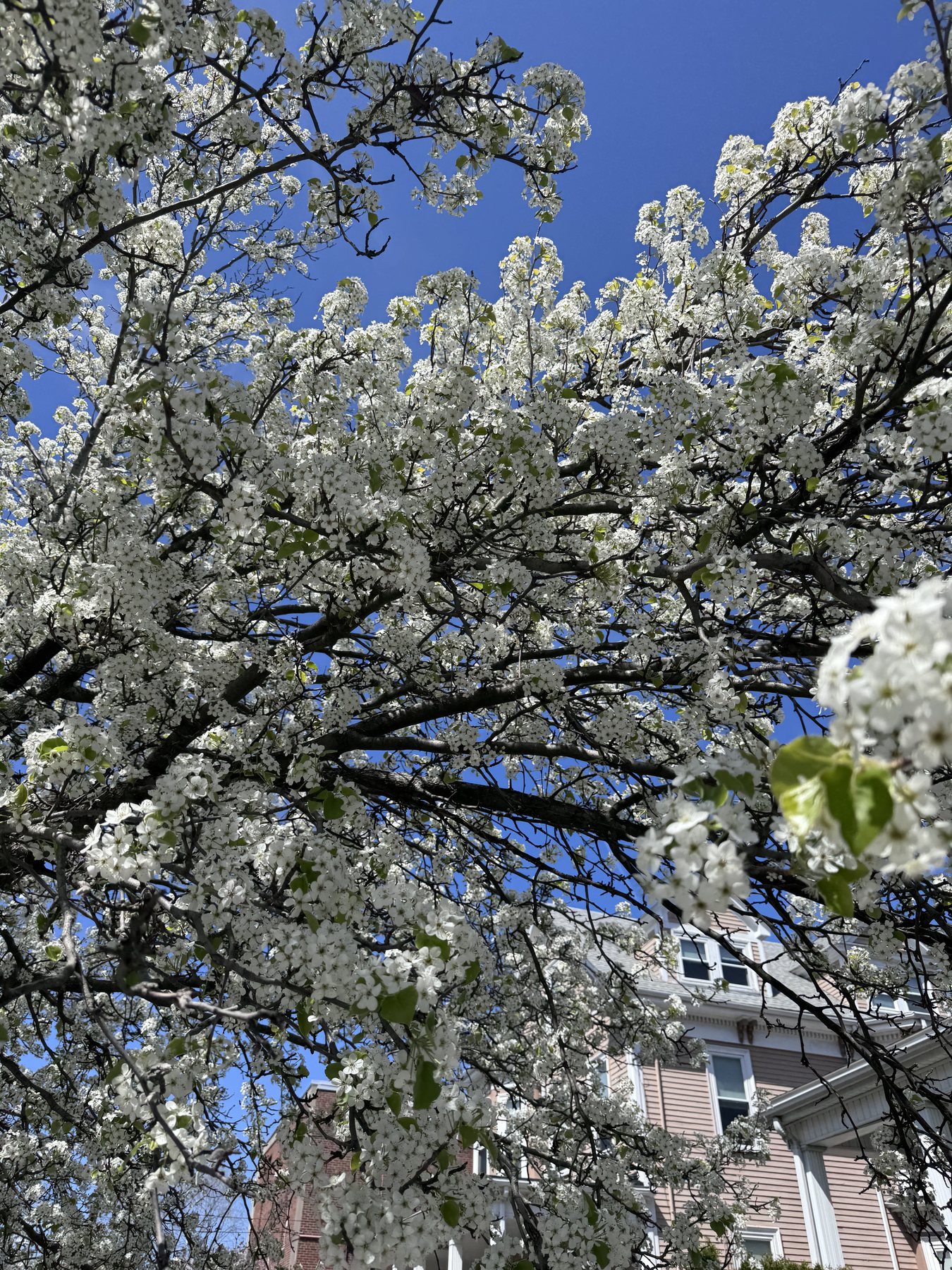 Malden in Massachusetts, United States